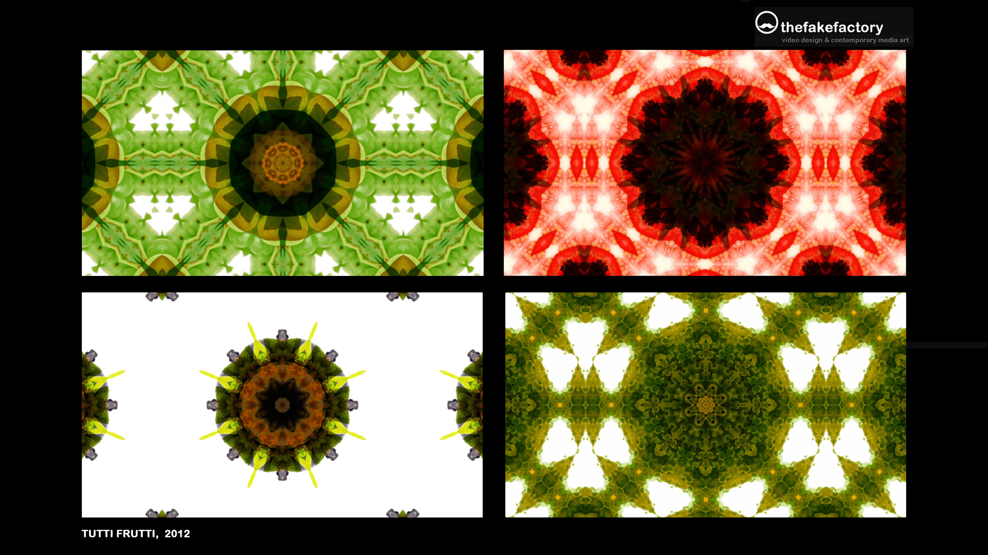 THE FAKE FACTORY videoart works102