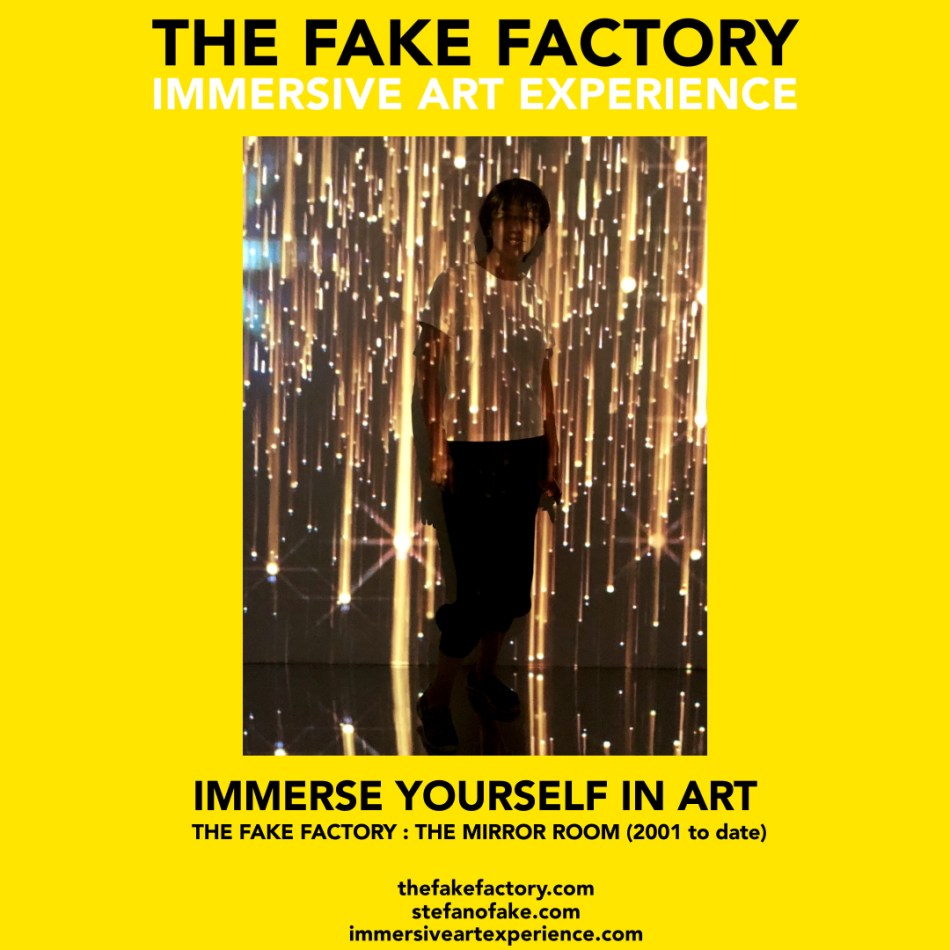 THE FAKE FACTORY – THE MIRROR ROOM IMMERSIVE&nbsp;ART_00298